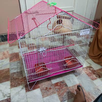 Parrots Cage( toto ka pinjara)
