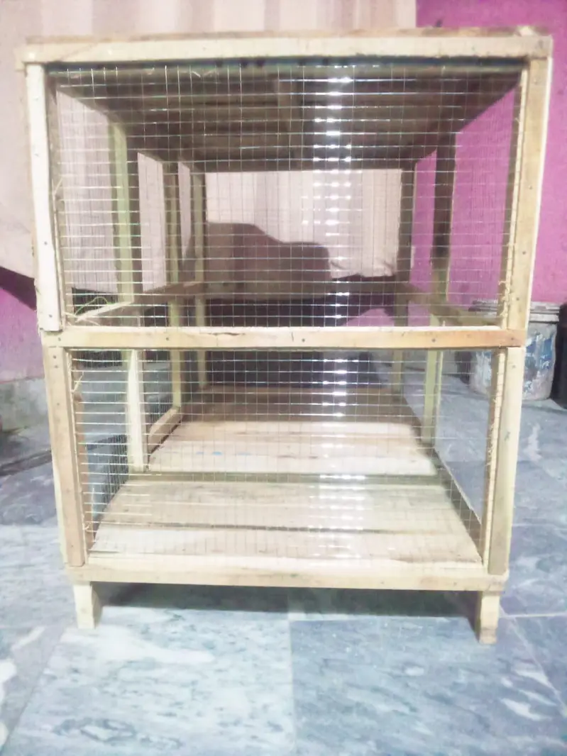 hen's cage — photo 2