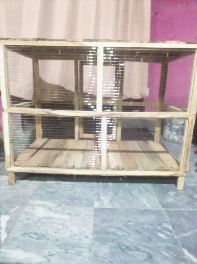 hen's cage — photo 3