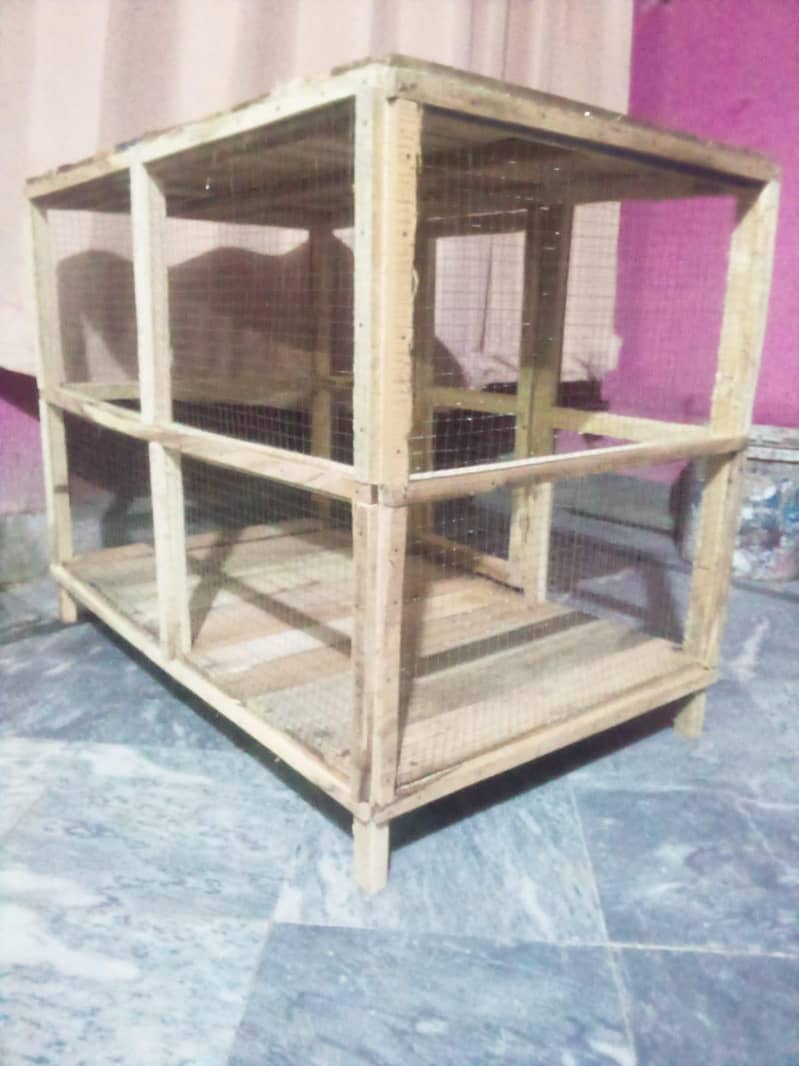 hen's cage 5
