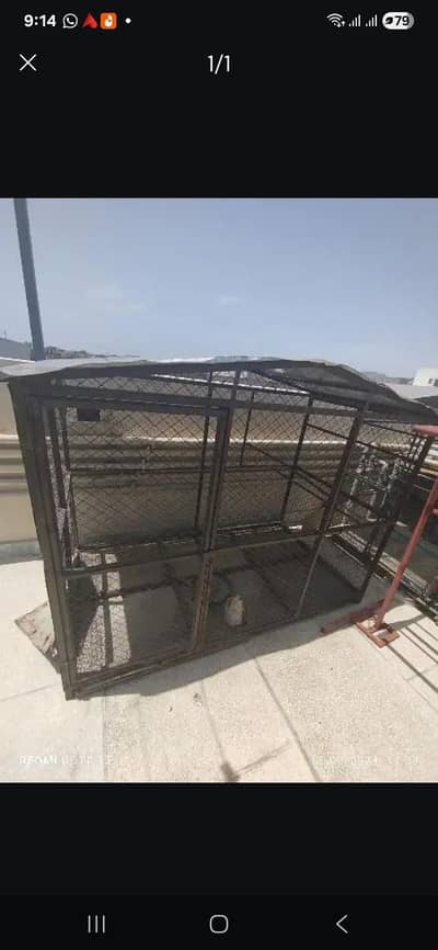 big cage for sale