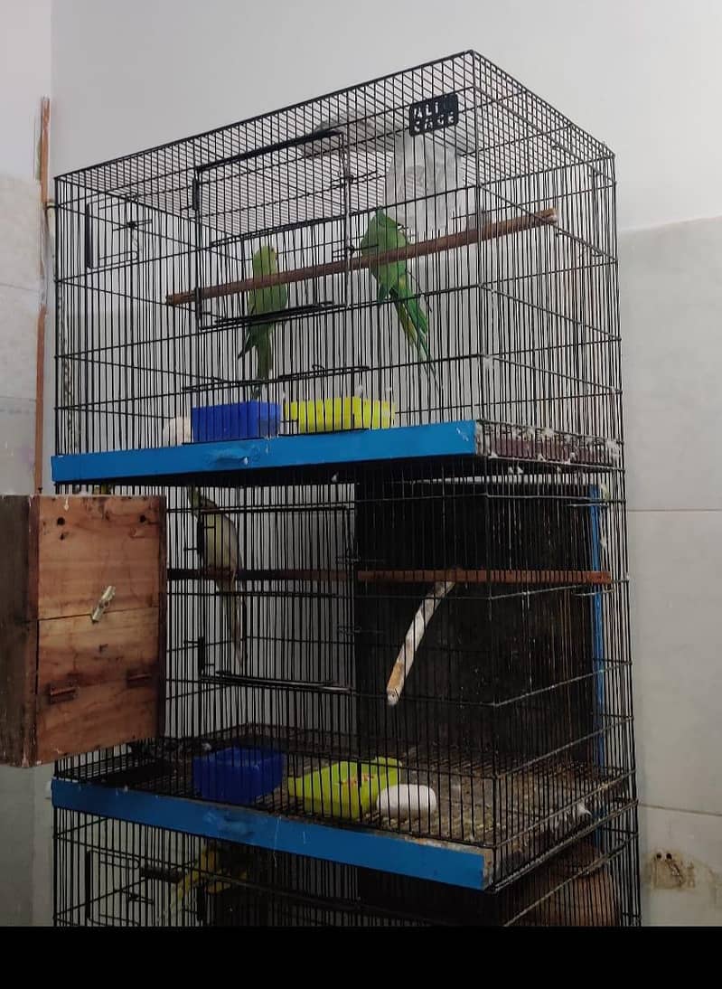 4 portion Cage 0
