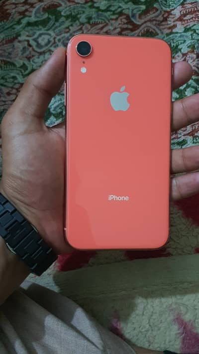 iPhone XR