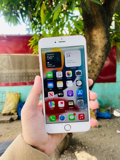 RAM.     4.64 ha.       Or bettry health 94.  Ha