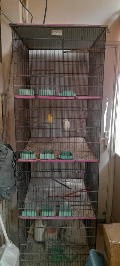 4 portion cage with accessories