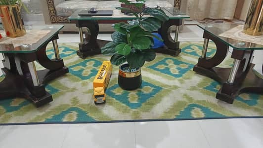 stylish and high quality luxury looking carpet