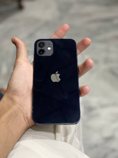 I phone 12