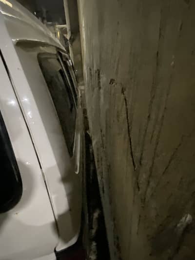 Bulan Cary daba 1989 model