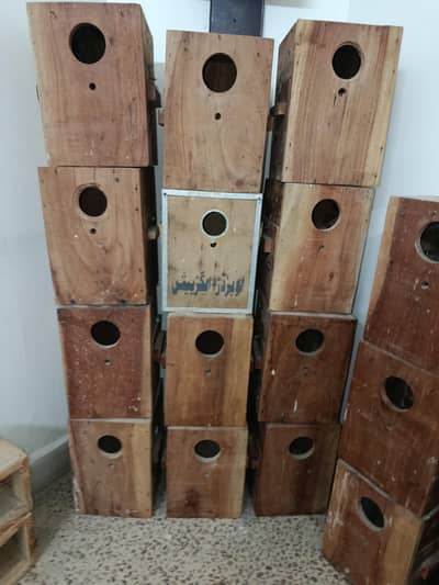 KEEKAR WOOD BOXES  FOR PARROTS LOVE BIRDS,CONURE COCKATIEL 