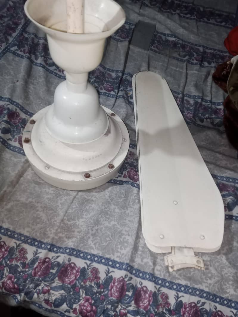ceiling fan 1