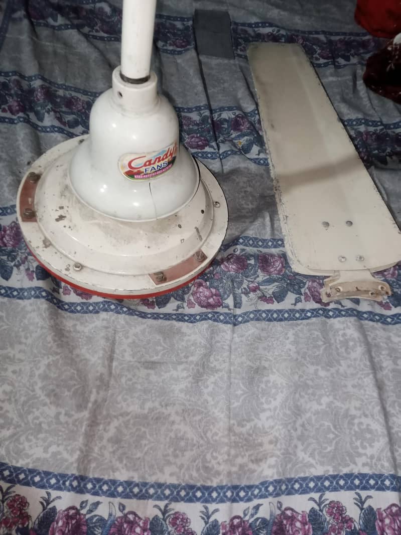 ceiling fan 2
