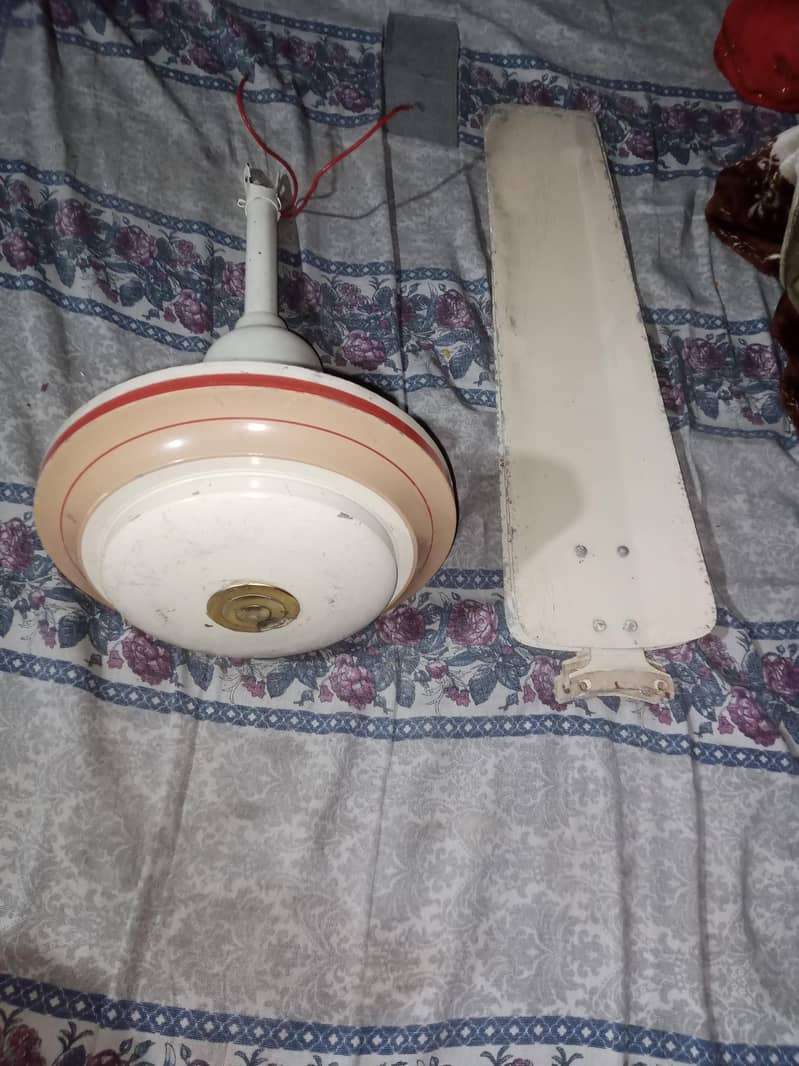 ceiling fan 3