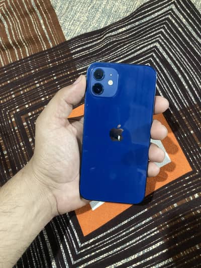 iPhone 12 factory unlocked