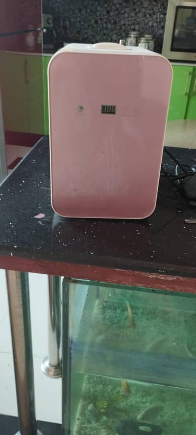 portable mini fridges