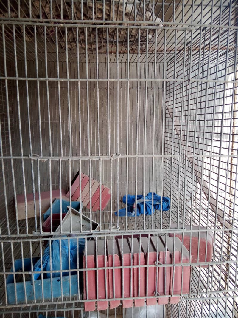 cages 7