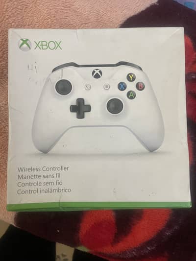 Contact me on WhatsApp 03466711275