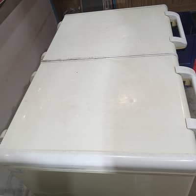 Hair Chest Freezer non envorter