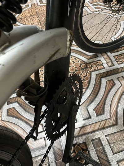 Morgan buffalo for sell