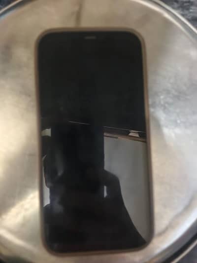 12 pro max 128 gb jv hai
