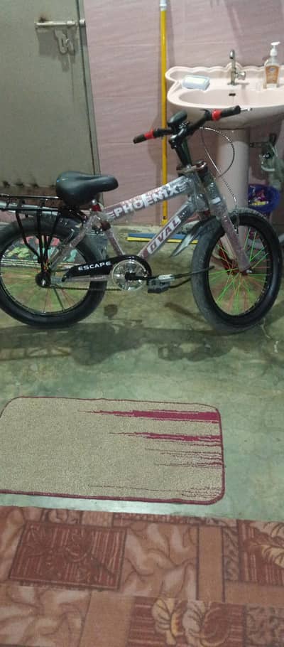 Beautiful new cycle for sale