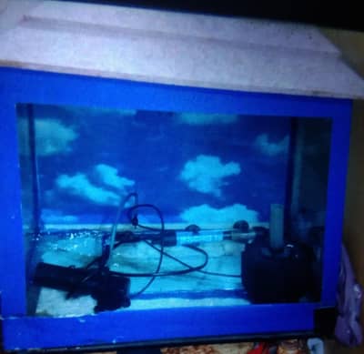customize aquarium
