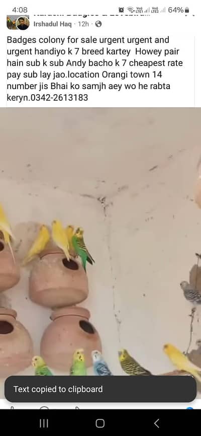 For sale mix mutesion badges