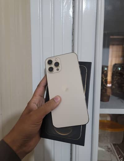 Iphone 12  pro max PTA Approved