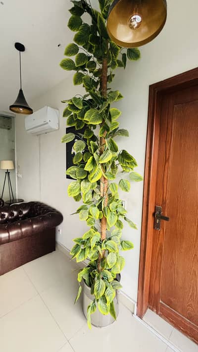 Haier 1.5 ton ACs/ 3 units Available