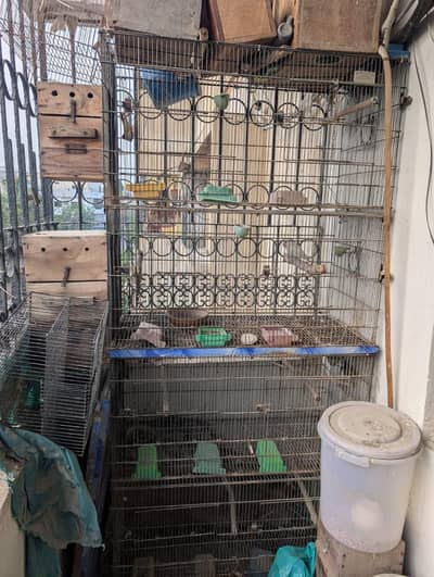 Folding cage 8 portion