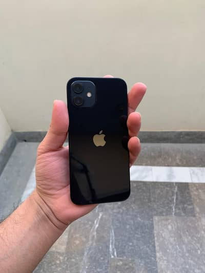 Apple iPhone 12