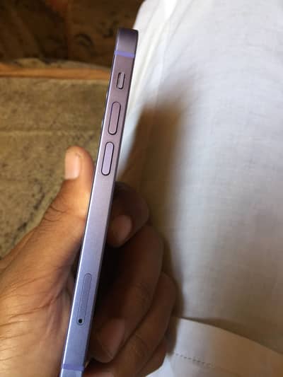 Lush condition 10/ 9.5