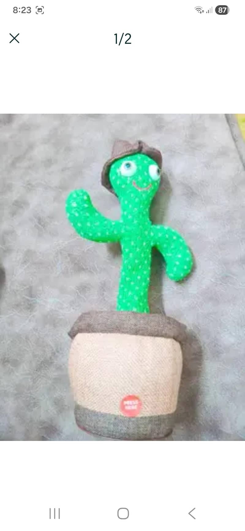 Dancing cactus 1