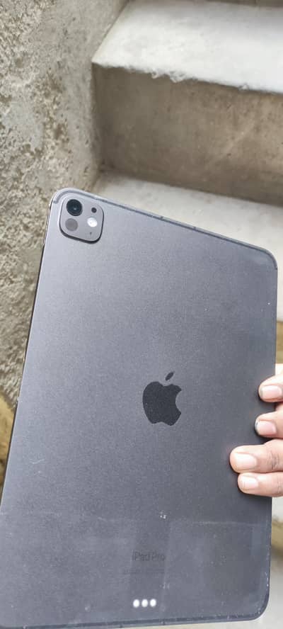 Ipad Pro M4 Cellular+Wifi 256GB