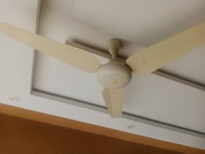 pak  fan for sale 9 pes hai