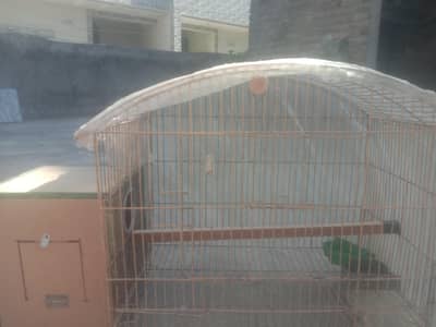urgent sale karne hei  cages