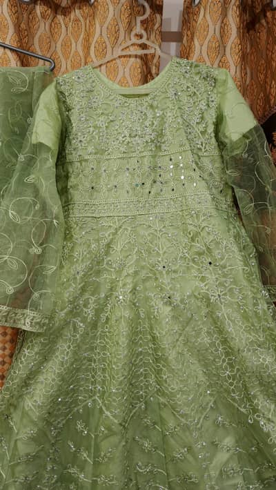 Ladies party wear dress