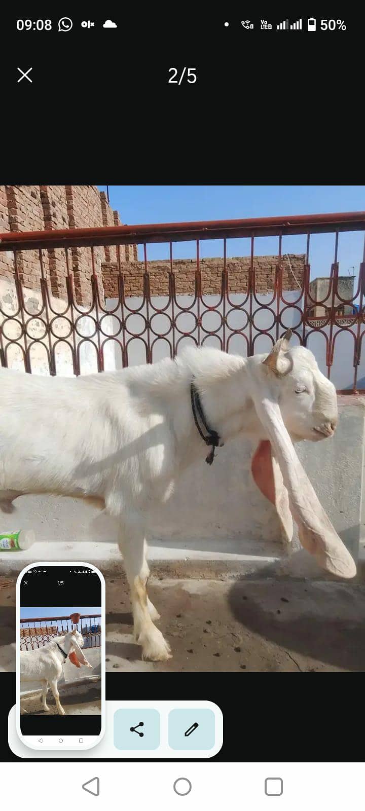 myبھترین اعلی نسل 1