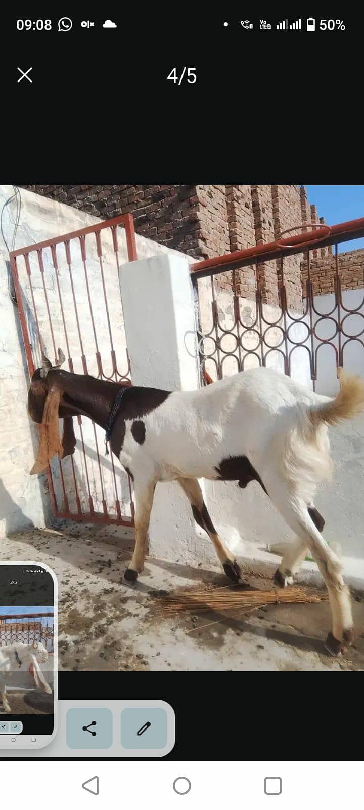 myبھترین اعلی نسل 2