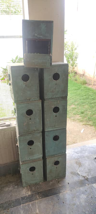 Double Door Wooden Boxes For Lovebirds and Budgie's.