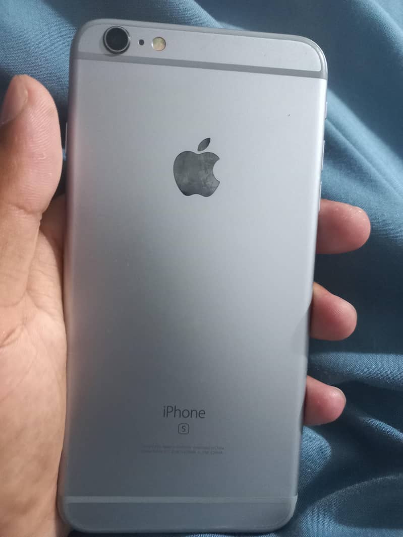 iPhone 6plus. . . outstanding camera 0