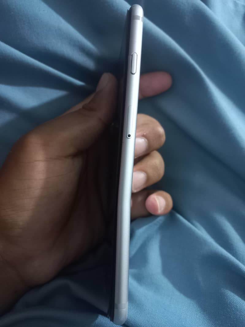 iPhone 6plus. . . outstanding camera 1