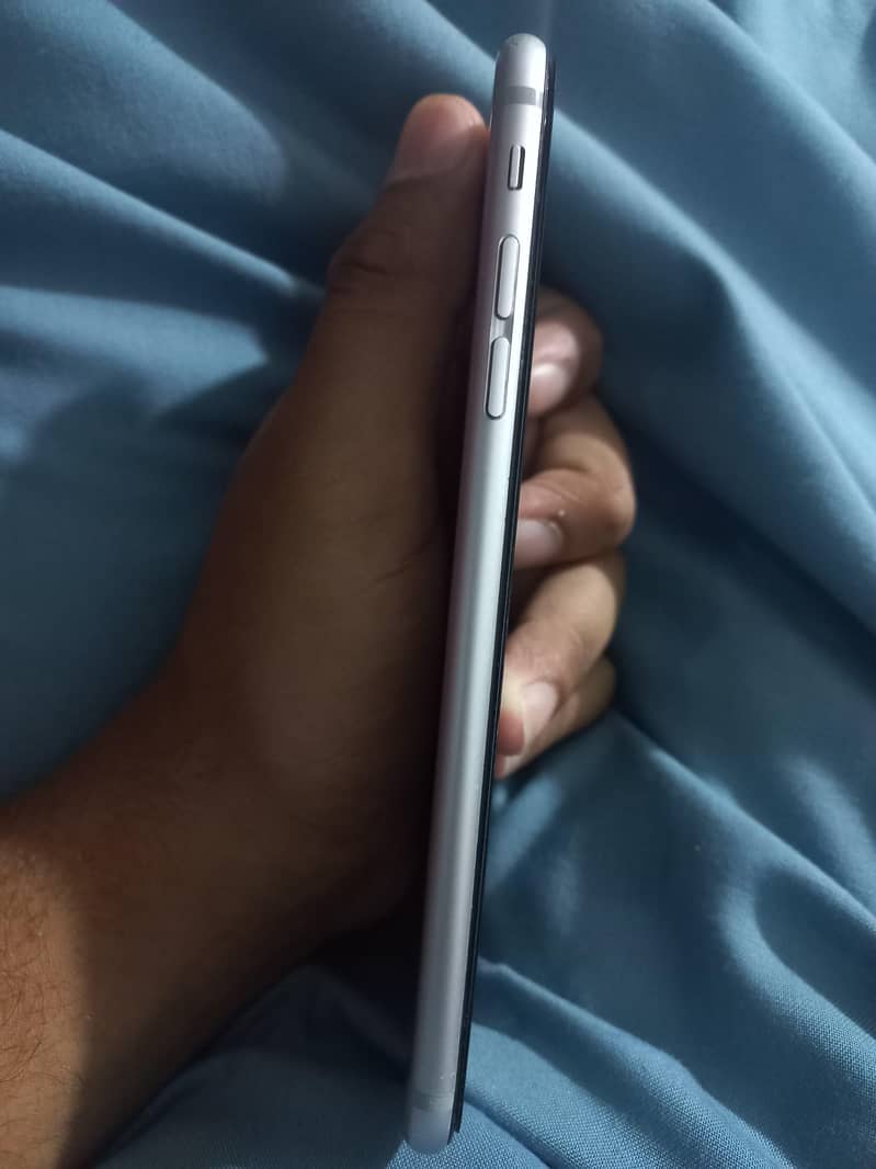 iPhone 6plus. . . outstanding camera 2