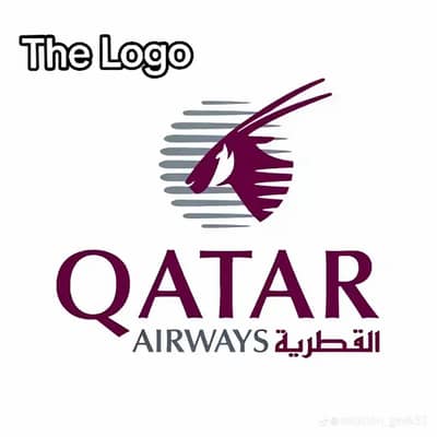 professional office boy