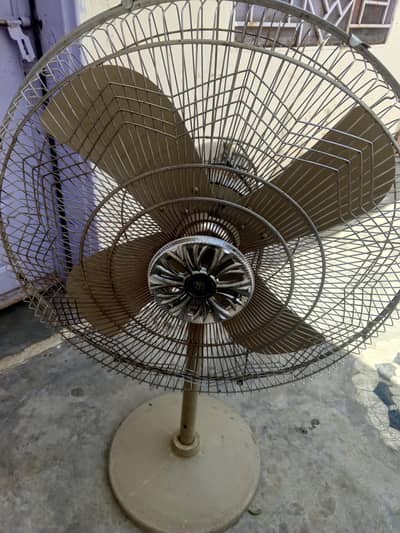 Fan . .