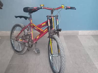 20” Size Kids Cycle