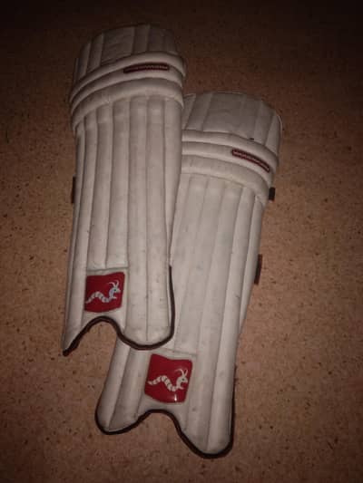 cricket pads
