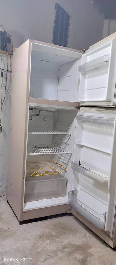 singer owner full  size