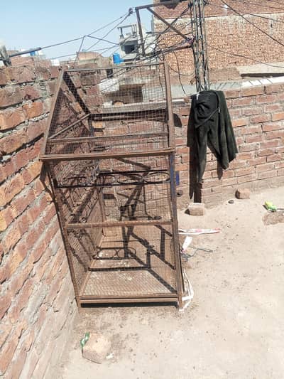 pinjra bilkul thik hai kami ho gi rabta is pe kary03246262169