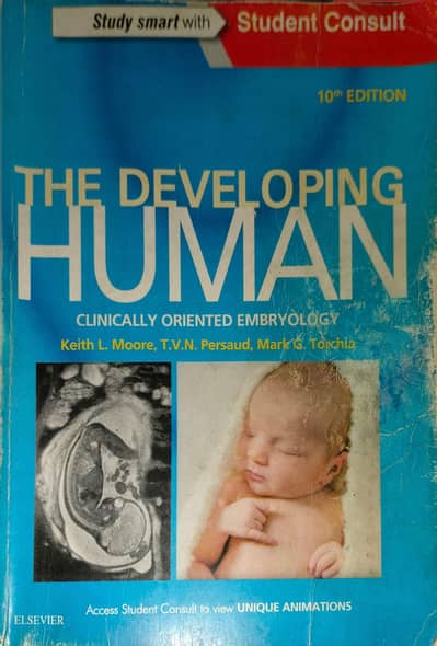 Human Embryology