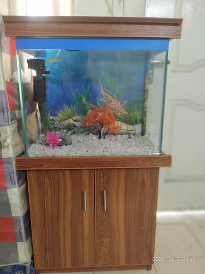 Fish Aquarium
